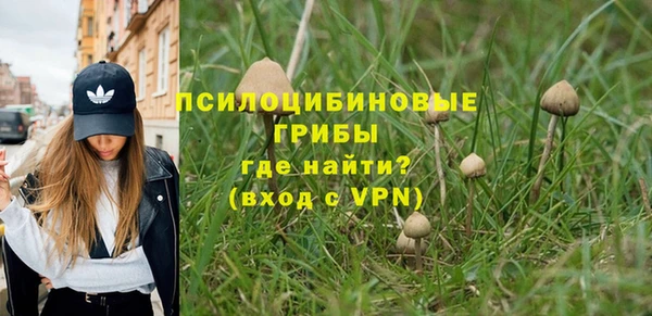 ECSTASY Ладушкин
