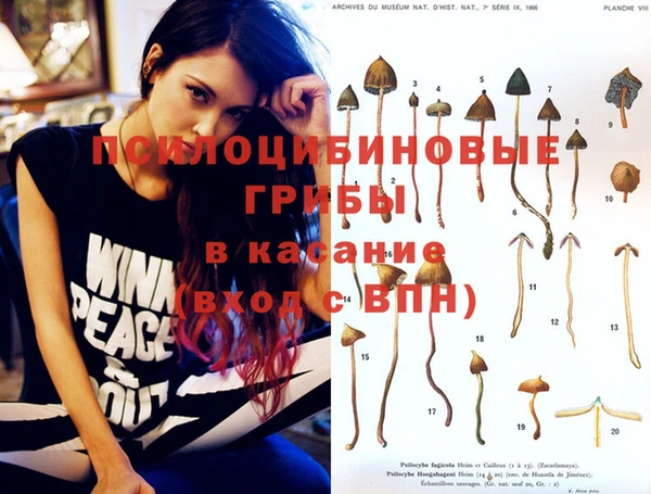 jwh Абинск