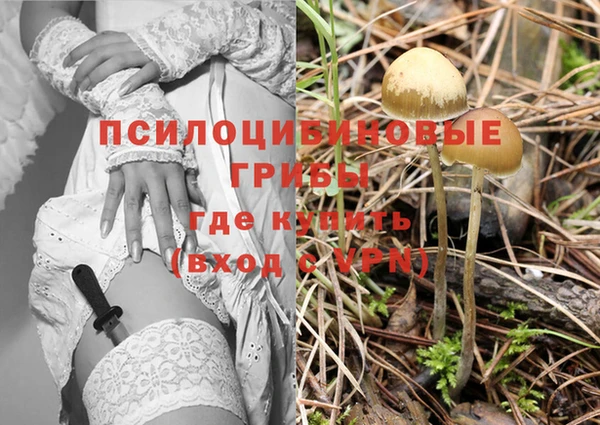 каннабис Абаза