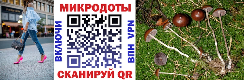 где можно купить   Николаевск-на-Амуре  Галлюциногенные грибы MAGIC MUSHROOMS 